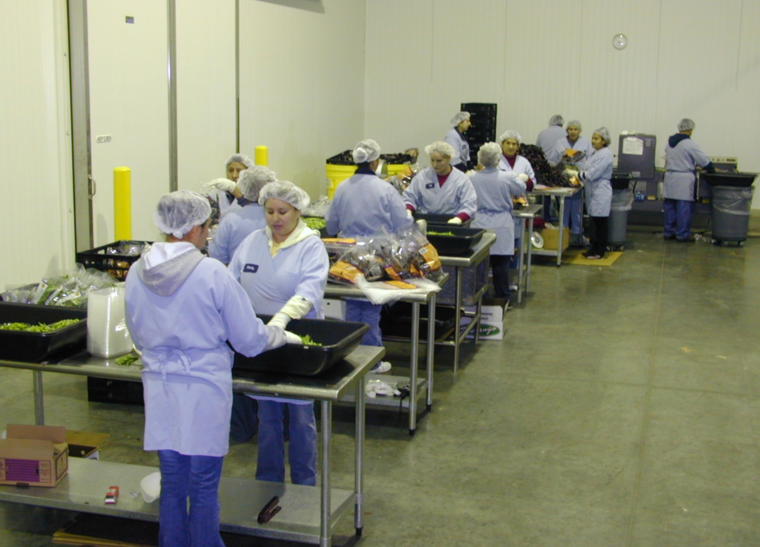 CDS Cold Storage facility