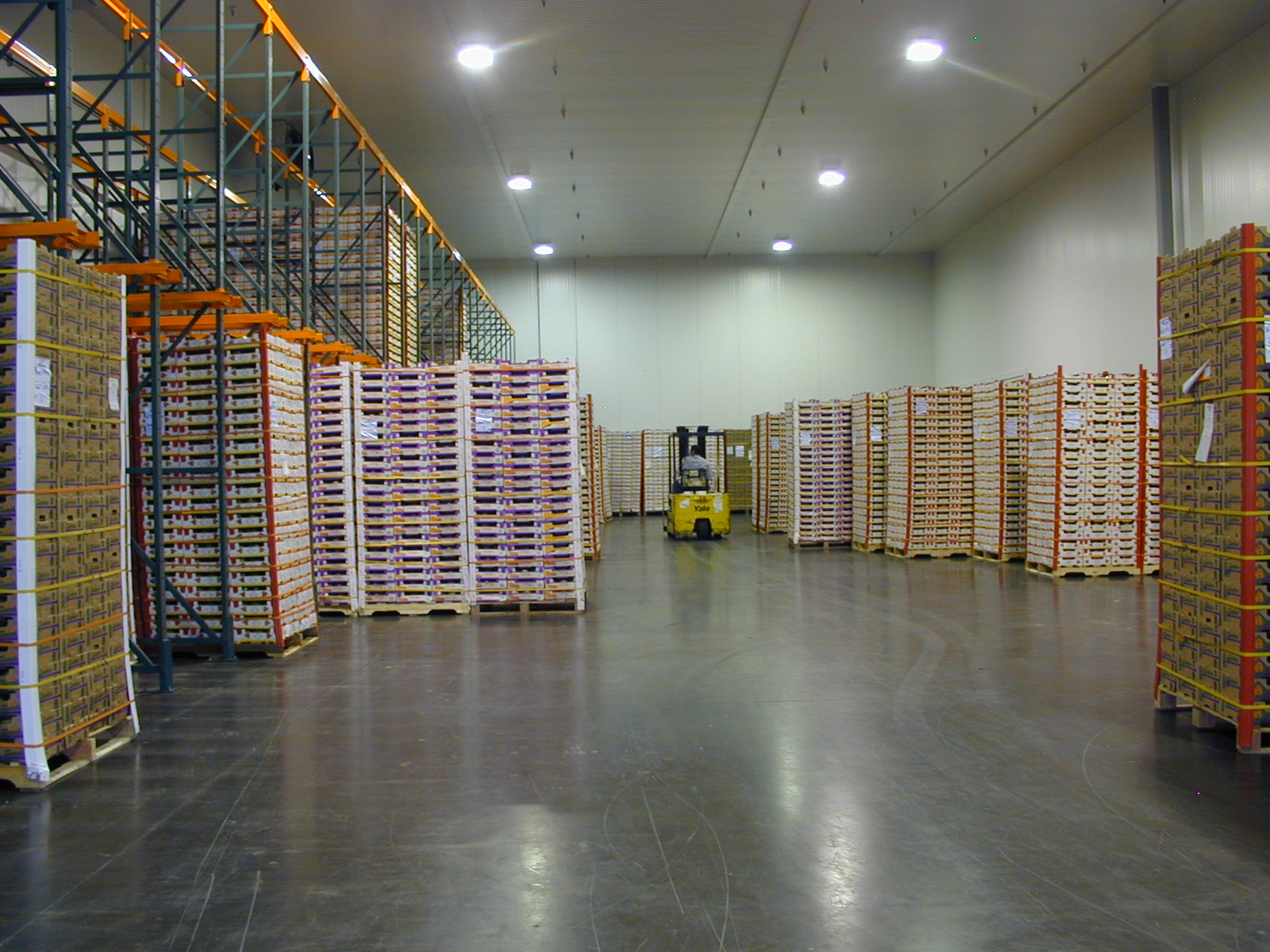 CDS Cold Storage facility